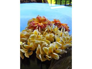 maui-travel-arrival-surprise-gift-plumeria-lei-greetings-small-0