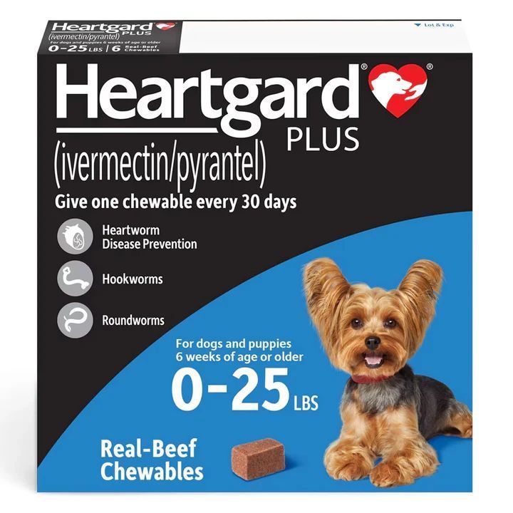 buy-heartgard-plus-for-dogs-online-discountpetmart-big-0