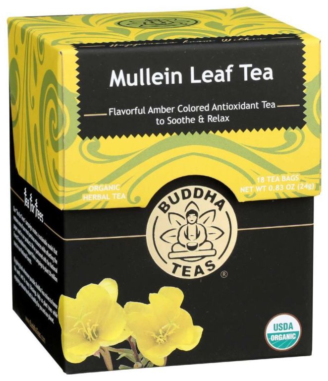 buy-coffee-bean-tea-leaf-for-perfect-morning-routine-big-0
