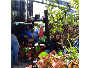 urban-jungle-best-flowering-plants-los-angeles-for-homes-small-0