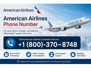 american-airlines-wheelchair-assistance-phone-number-small-0