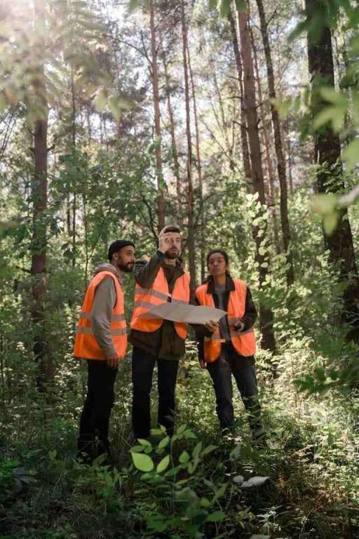 land-clearing-in-houston-big-0