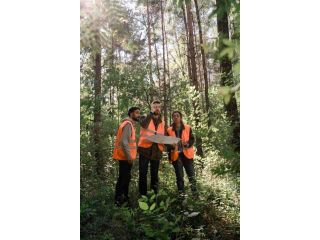 land-clearing-in-houston-small-0