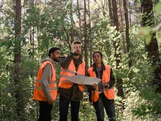 land-clearing-in-houston