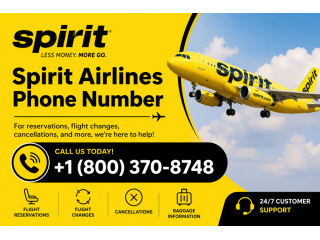 spirit-airlines-helpdesk-number-small-0