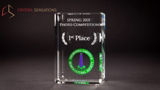 stylish-engraved-crystal-awards-for-corporate-events-big-0