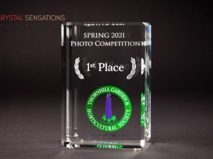 stylish-engraved-crystal-awards-for-corporate-events