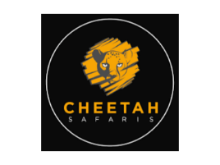 cheetah-safaris-luxury-tailor-made-african-safari-specialists-small-0