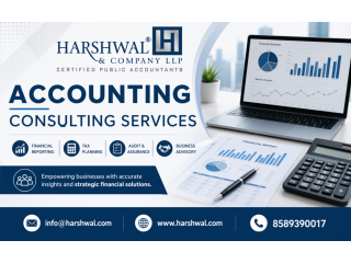 reliable-accounting-consulting-services-for-companies-small-0