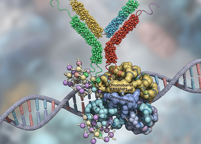 human-ovalbumin-specific-igg-ova-sigg-elisa-kit-big-0