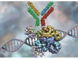 human-ovalbumin-specific-igg-ova-sigg-elisa-kit-small-0