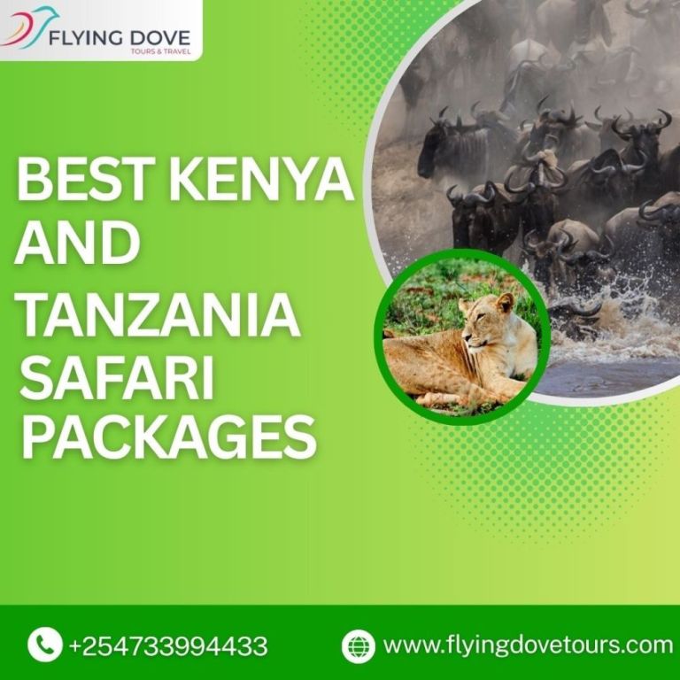 best-kenya-and-tanzania-safari-packages-big-0