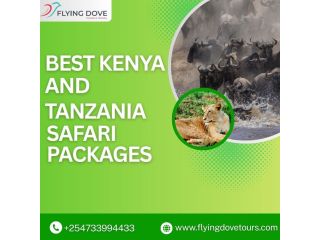 best-kenya-and-tanzania-safari-packages-small-0