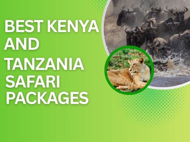 best-kenya-and-tanzania-safari-packages