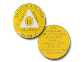 unique-aa-recovery-gifts-to-celebrate-sobriety-milestones-today-small-0