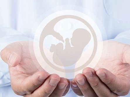 surrogacy-done-with-honesty-and-care