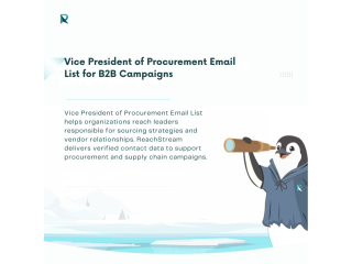 vice-president-of-procurement-email-list-for-b2b-campaigns-small-0