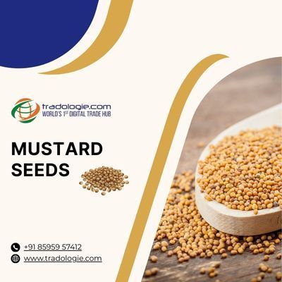 scale-your-mustard-oil-exports-globally-big-0