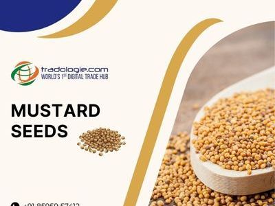 scale-your-mustard-oil-exports-globally