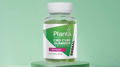 are-planta-rx-gummies-made-with-natural-ingredients-big-0