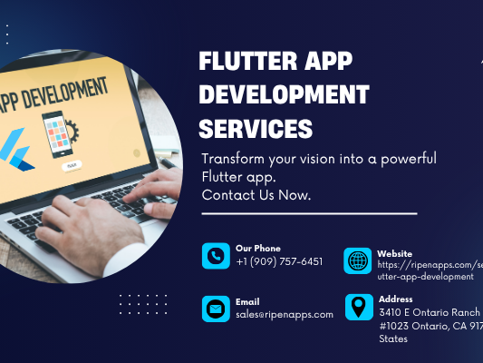 top-rated-flutter-app-development-services-in-usa