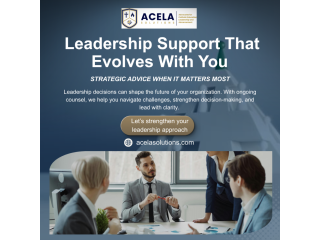 strategic-leadership-advisory-partnered-leadership-counsel-small-0