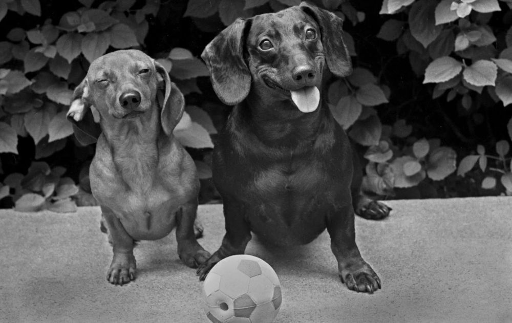 ross-william-hamilton-photo-grapher-big-0