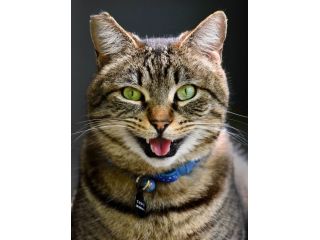 ross-william-hamilton-photo-grapher-small-4