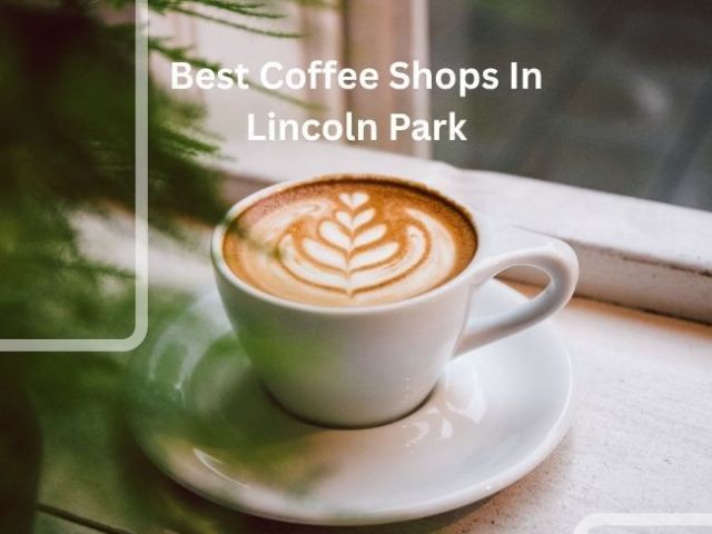 best-coffee-shops-near-lincoln-park