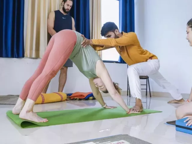 300-hour-yoga-training-india