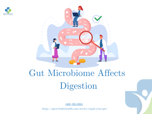 how-gut-microbiome-affects-digestion-mood-and-immunity