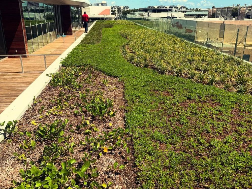 improve-landscape-performance-with-irrigation-consulting-services-big-1
