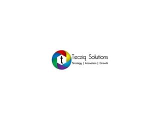 best-seo-services-for-lead-generation-tecziq-solution-small-0