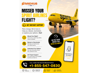 missed-your-spirit-airlines-flight-get-instant-support-small-0