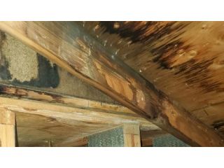 mold-in-your-attic-poor-ventilation-could-be-destroying-small-0