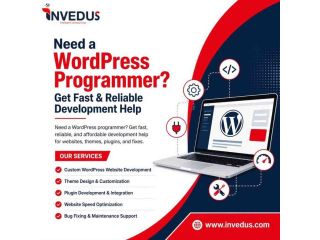 find-a-wordpress-programmer-affordable-reliable-support-small-0