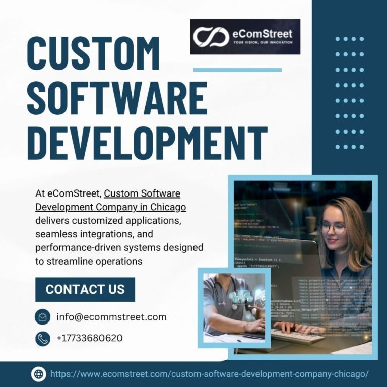 custom-software-development-company-in-chicago-ecomstreet-big-0