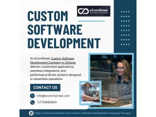 custom-software-development-company-in-chicago-ecomstreet-small-0