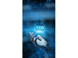 dominate-local-search-with-the-best-seo-agency-in-st-george-small-0