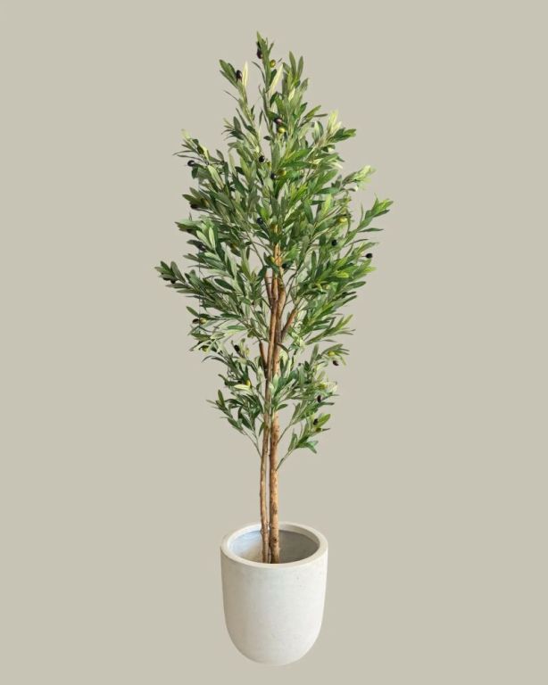 fake-olive-tree-indoor-big-0