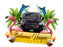 nassau-combo-tours