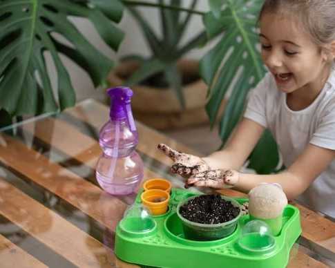 nature-preschools-inspiring-outdoor-learning-for-young-minds
