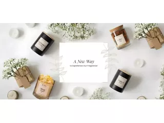 discover-mindful-living-with-terra-reeds-handmade-fragrances-small-0