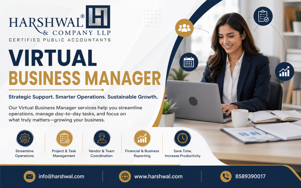 skilled-virtual-business-manager-for-daily-operations-big-0