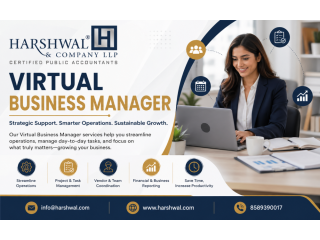 skilled-virtual-business-manager-for-daily-operations-small-0