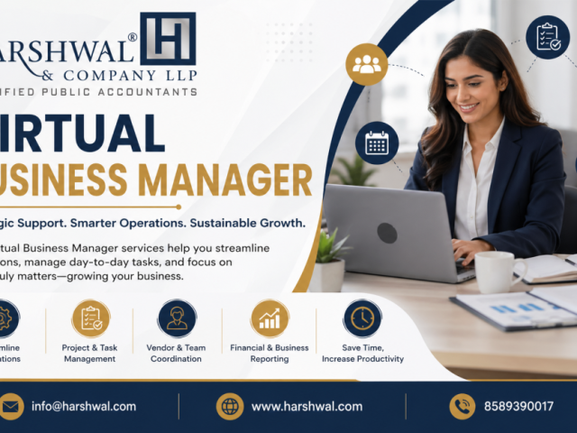 skilled-virtual-business-manager-for-daily-operations