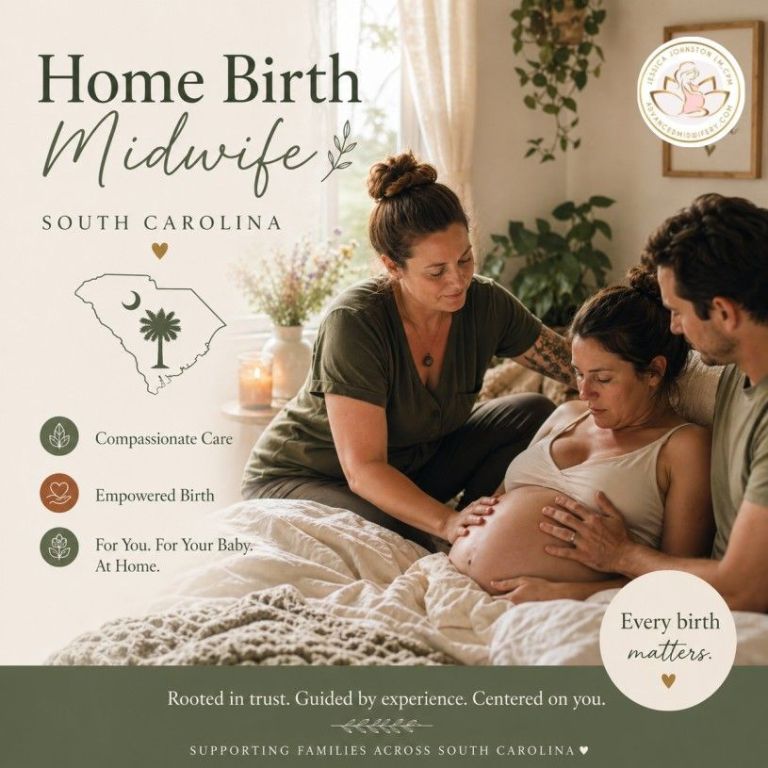 home-birth-midwife-south-carolina-for-safe-maternity-care-big-0