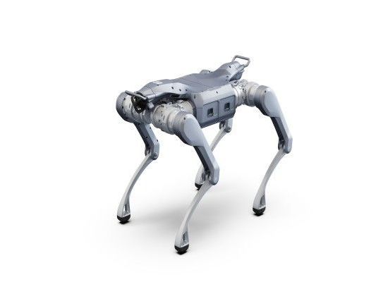 preorder-the-high-performance-a2-robot-from-toborlife-ai