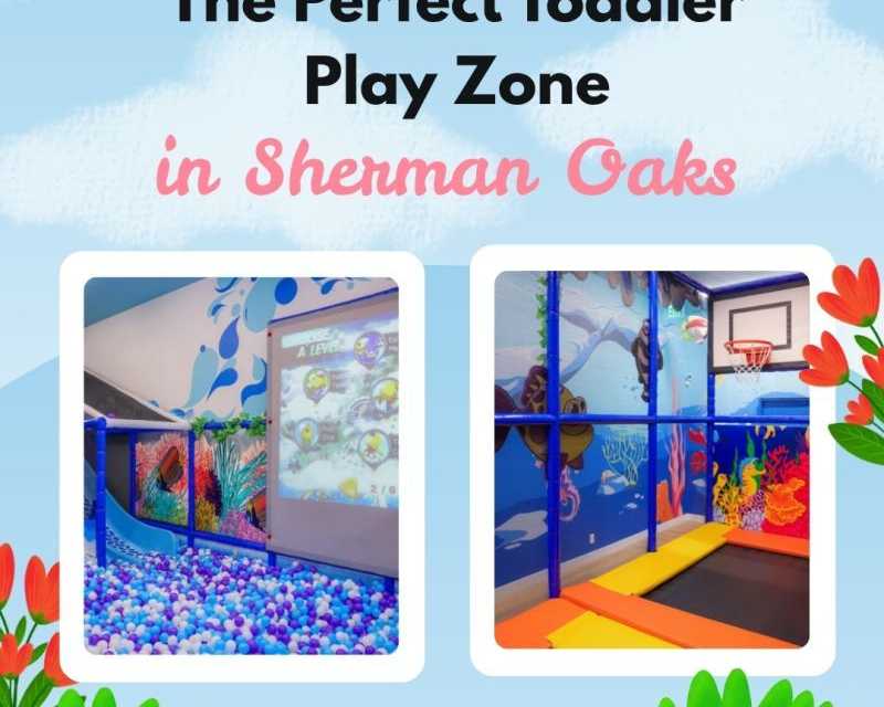 the-perfect-toddler-play-zone-in-sherman-oaks