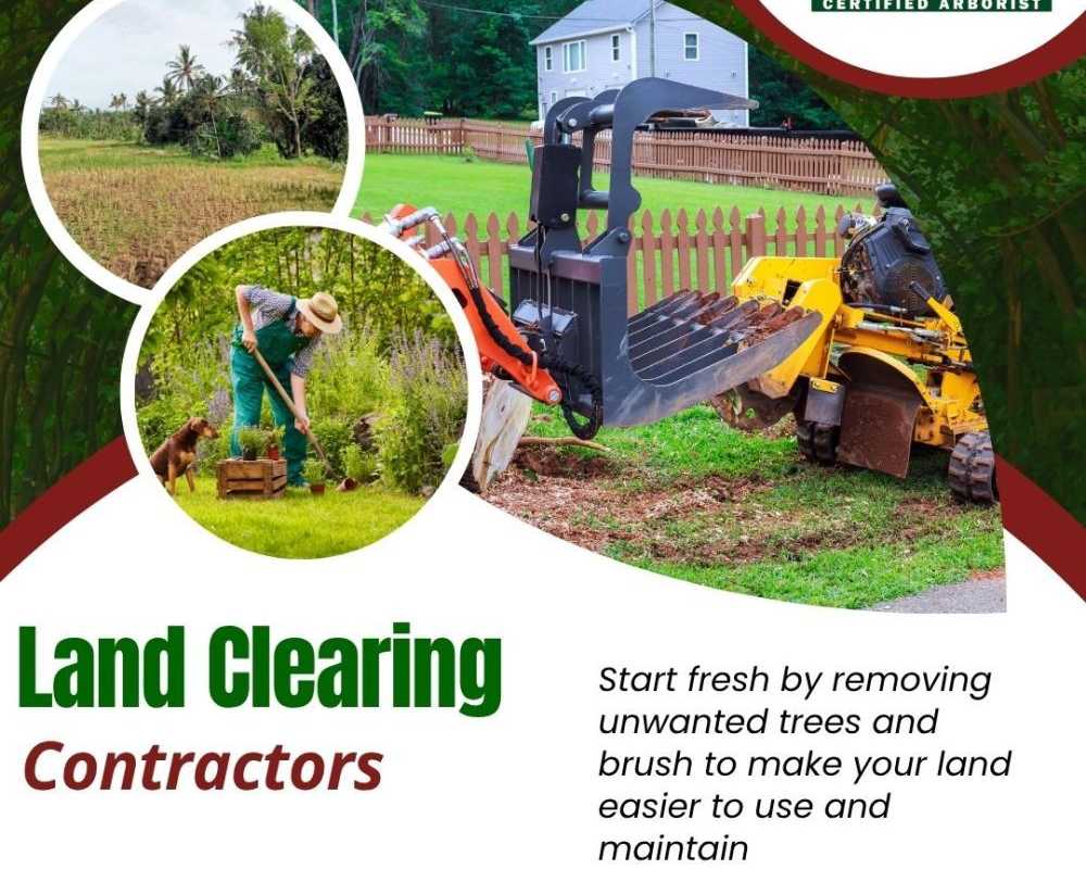 land-clearing-contractors-in-boerne
